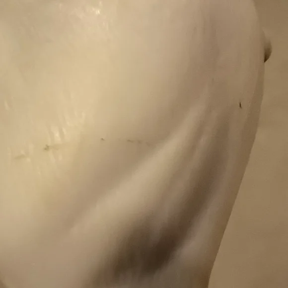 CollectA by Breyer Grey Arabian Mare - Picture 9 of 15